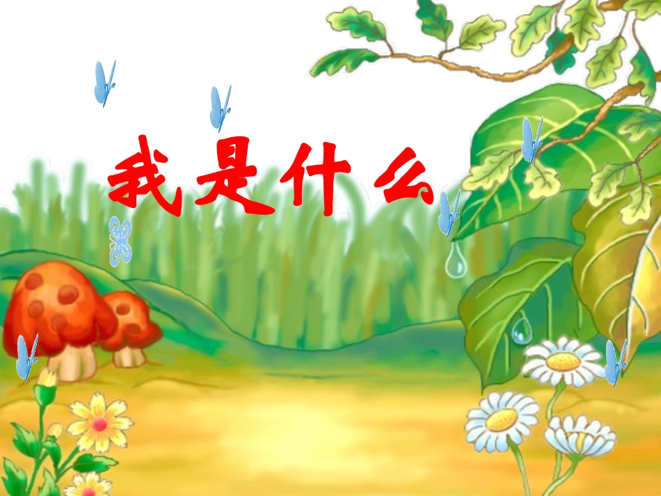 《30、我是什么》课件_第2页