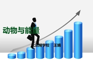 动物与能量fangan4