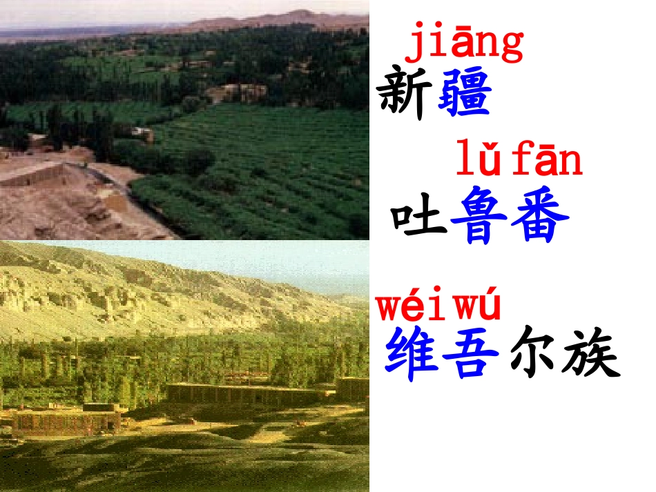 葡萄沟课件 _第3页