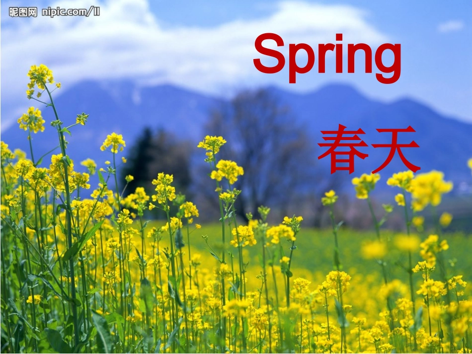 七年级冀教版lesson37_seasons_and_weather_第3页
