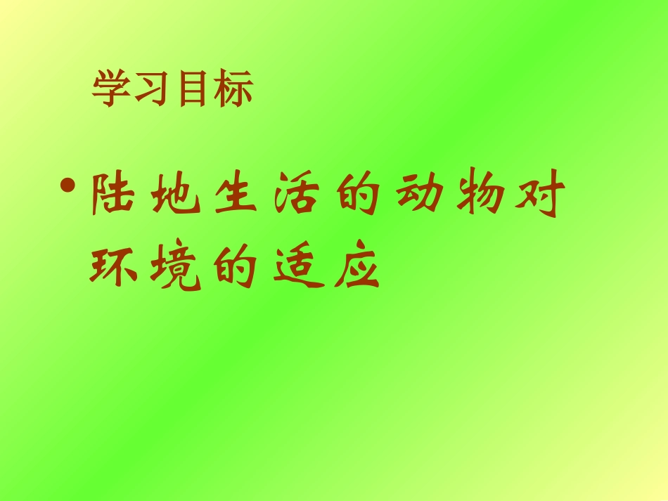 陆地生活的动物_第2页