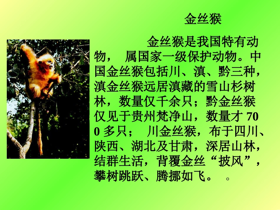 陆地生活的动物_第3页