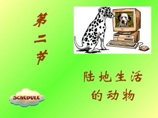 陆地生活的动物