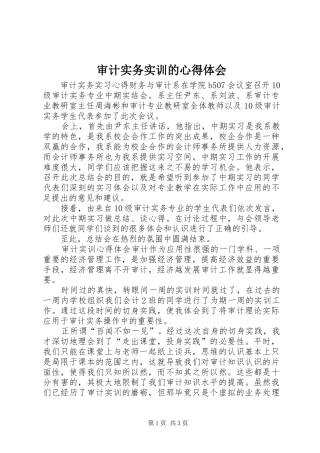 审计实务实训的心得体会