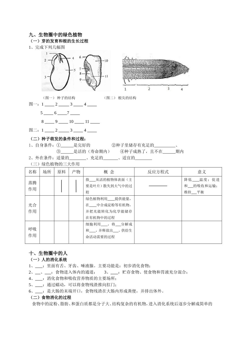 生物复习提纲_第3页