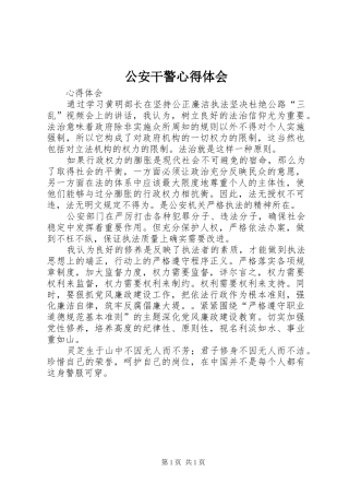 公安干警心得体会