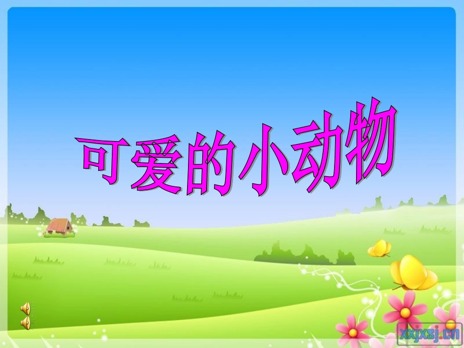 可爱的小动物_第1页