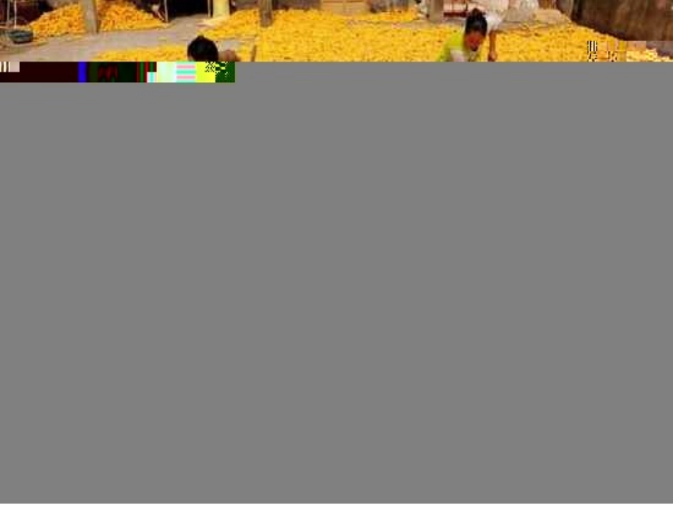 多收了三五斗_第2页