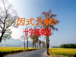 因式分解十字相乘法