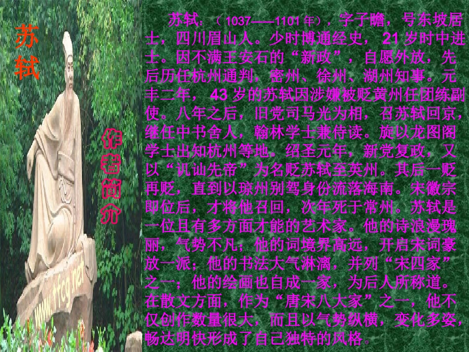 记承天寺夜游1_第3页
