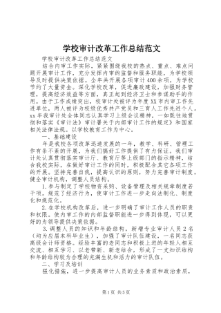 学校审计改革工作总结范文