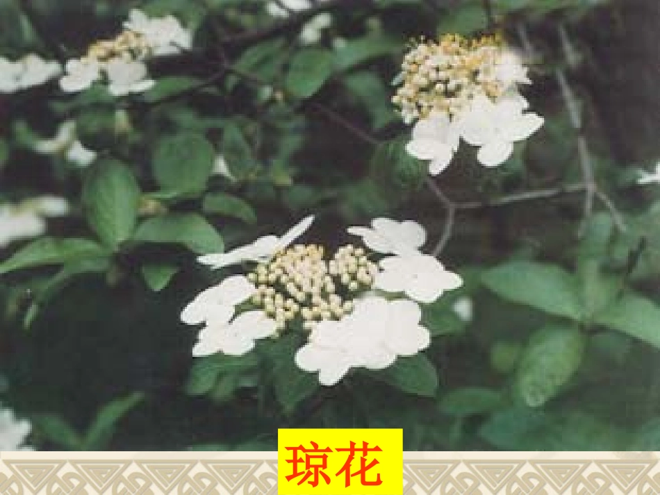 七年级下册第1课繁盛一时的隋朝_第2页