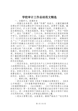学校审计工作总结范文精选