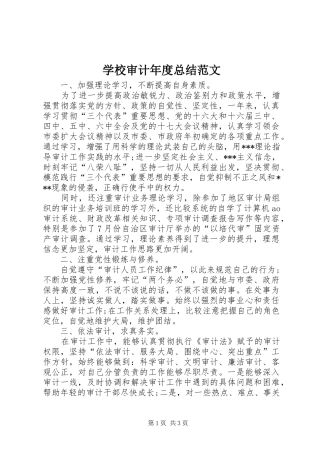 学校审计年度总结范文