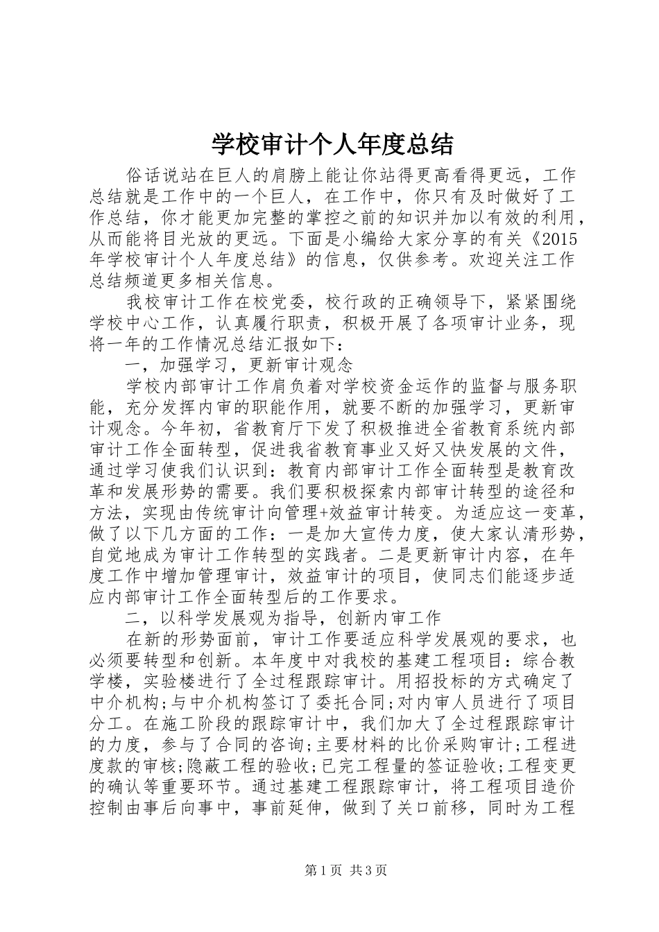 学校审计个人年度总结_第1页