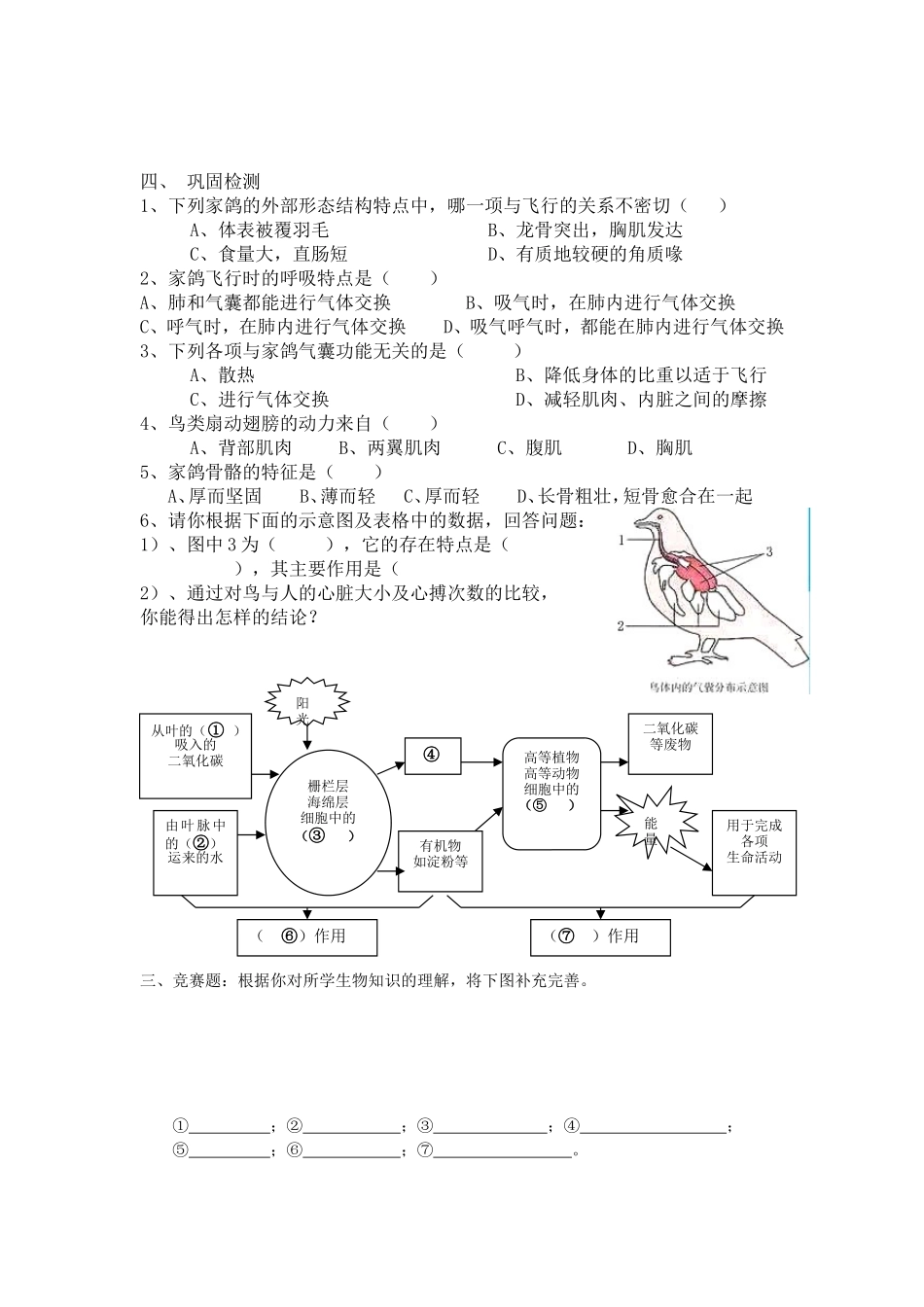 八上空中飞行的动物_第2页