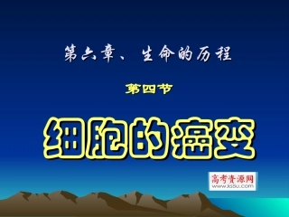 细胞的癌变课件新人教版必修精品推荐