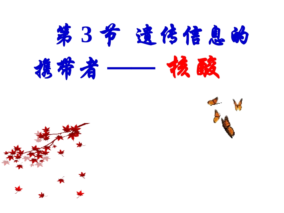 遗传信息的携带者核酸_第1页