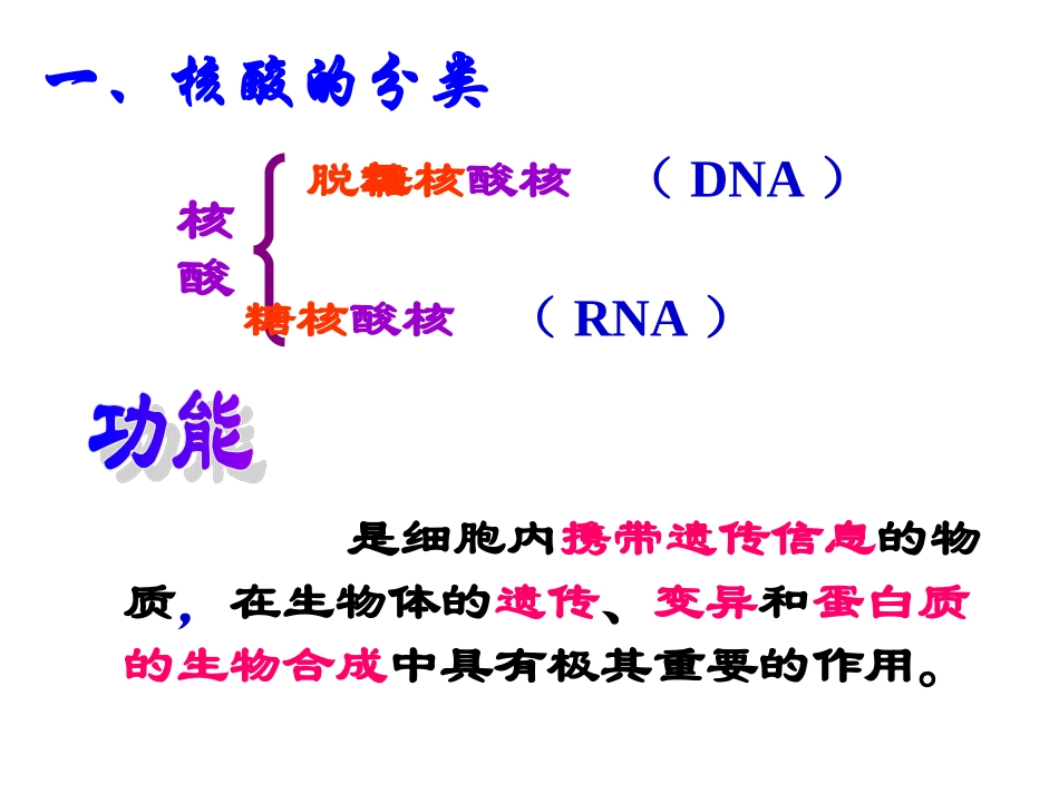 遗传信息的携带者核酸_第3页