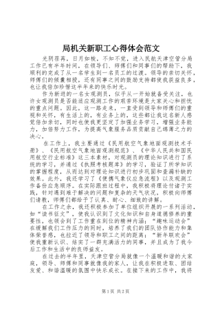 局机关新职工心得体会范文