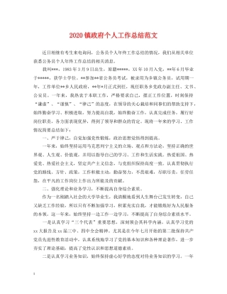 2024镇政府个人工作总结范文 