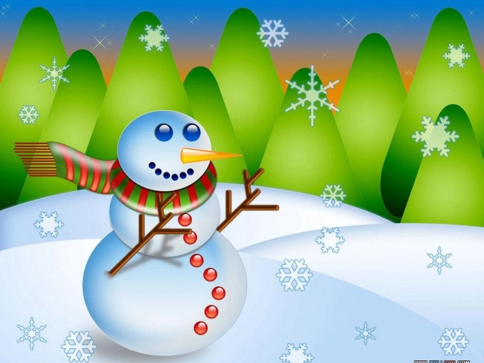 雪花二年级课件_第1页