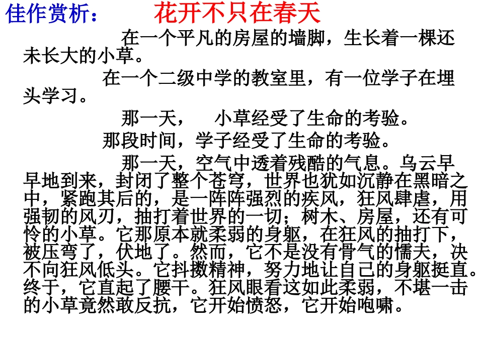 作文：花开不只在春天_第3页