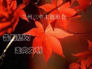 告别陋习走向文明(班会课件)