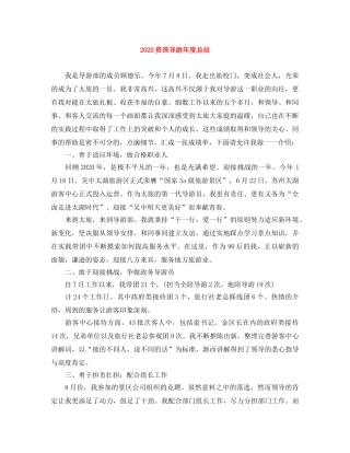 2024资深导游年度总结 