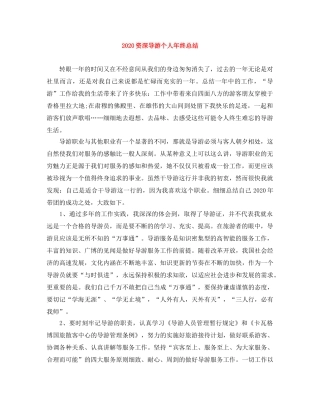 2024资深导游个人年终总结 