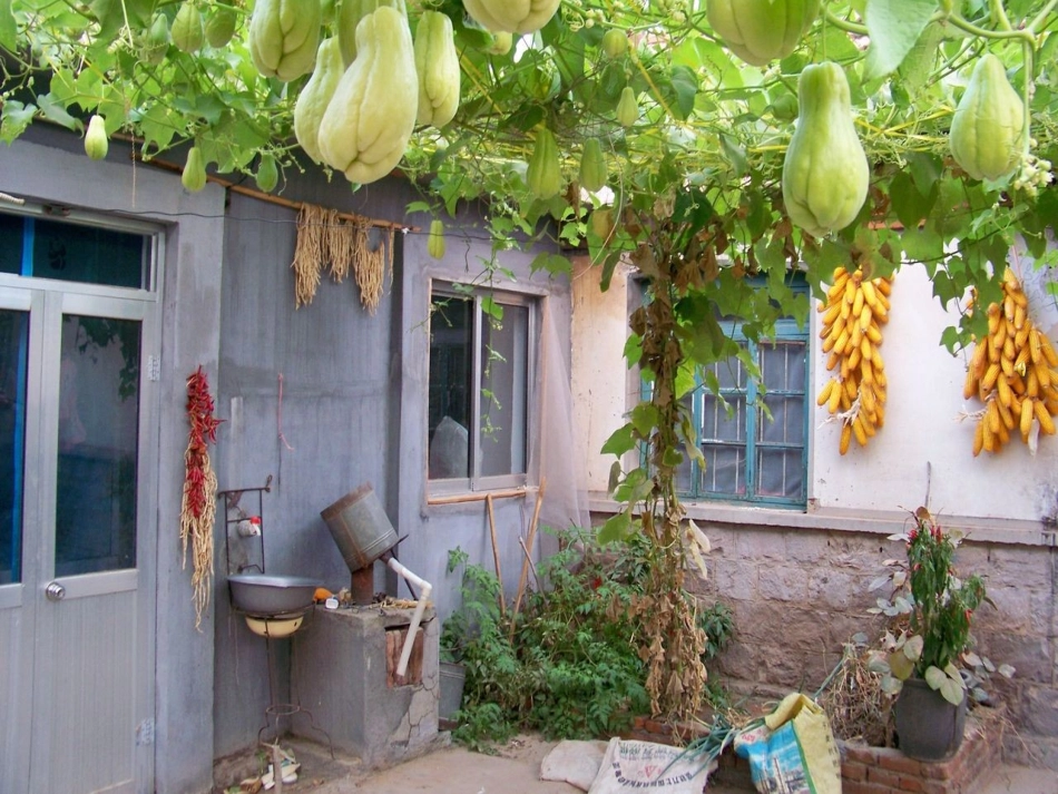 南乐三实小有顺序地介绍景物_第3页