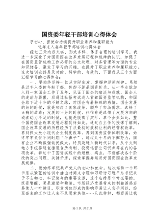 国资委年轻干部培训心得体会