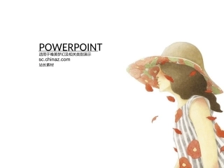 非常漂亮的模版二