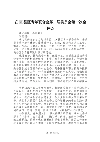 在XX县区青年联合会第二届委员会第一次全体会