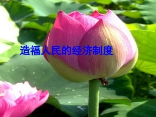 九年级政治第七课第1框造福人民的经济制度（7、1）