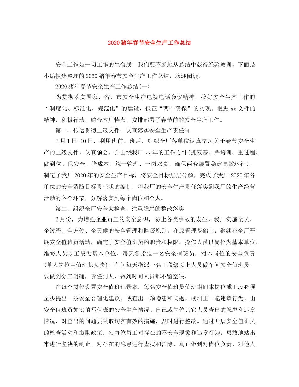 2024猪年春节安全生产工作总结 _第1页