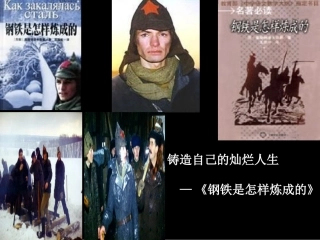 钢铁是怎样炼成的 (2)