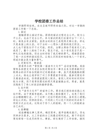 学校团委工作总结 (33)