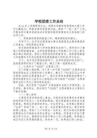 学校团委工作总结 (30)
