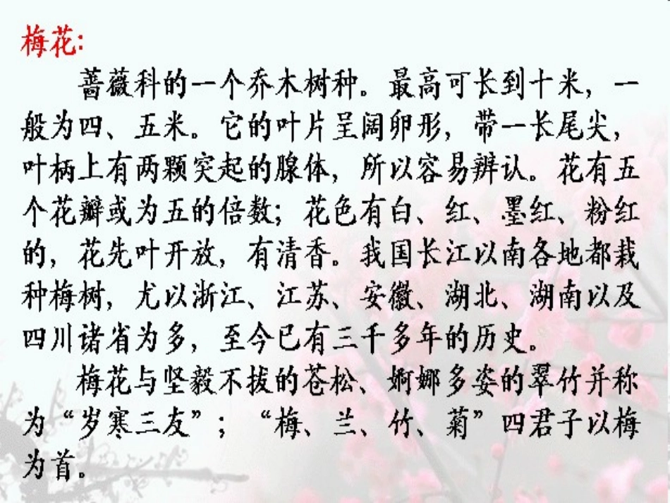 《梅花魂》课件 (2)_第2页