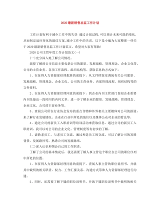 2024最新销售总监工作计划 