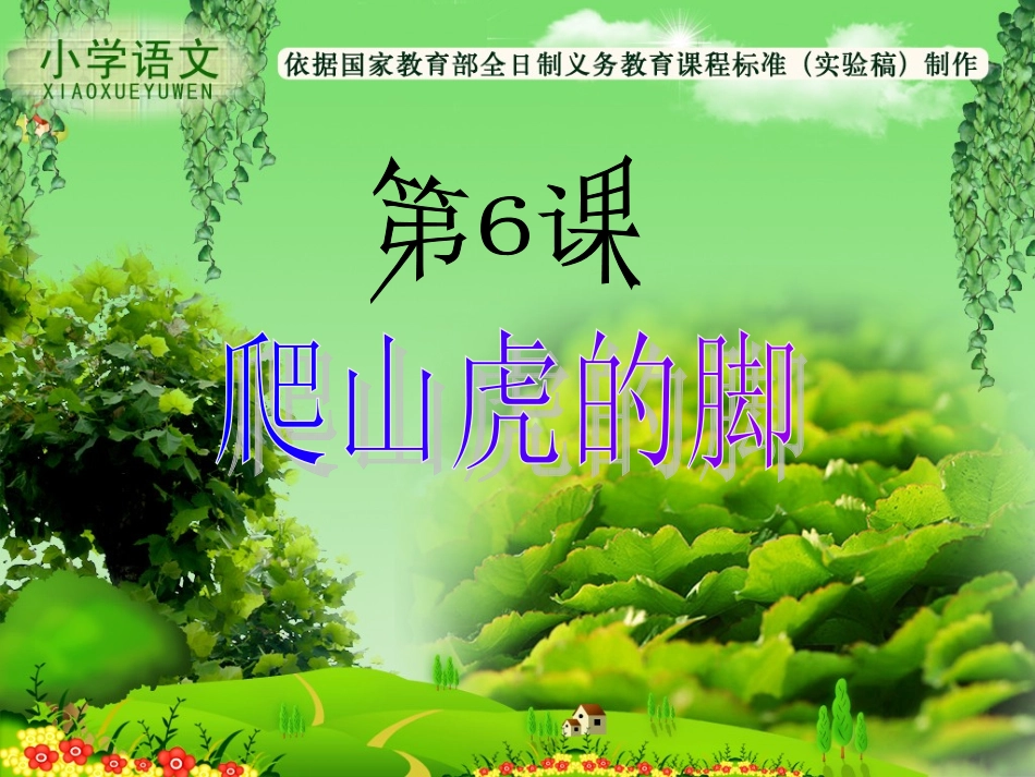 爬山虎的脚 (5)_第1页