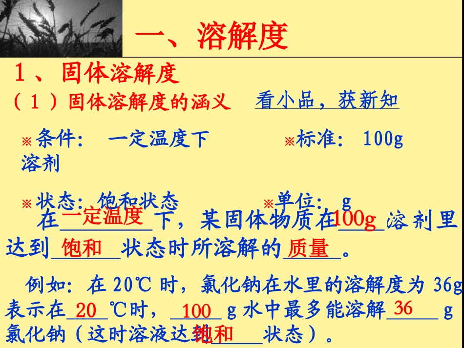 九年级化学溶解度课件1_第2页
