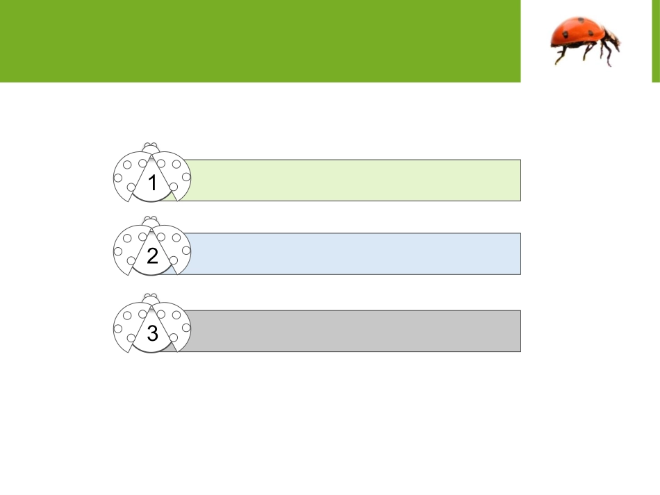 绿叶七星瓢虫模板_第3页