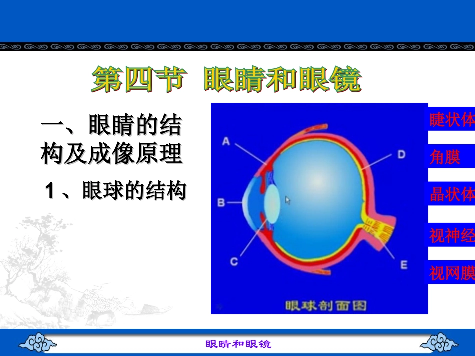眼睛和眼镜课件_第2页
