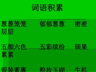 、美丽的小兴安岭