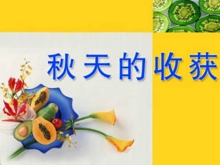 《秋天的收获》教学课件