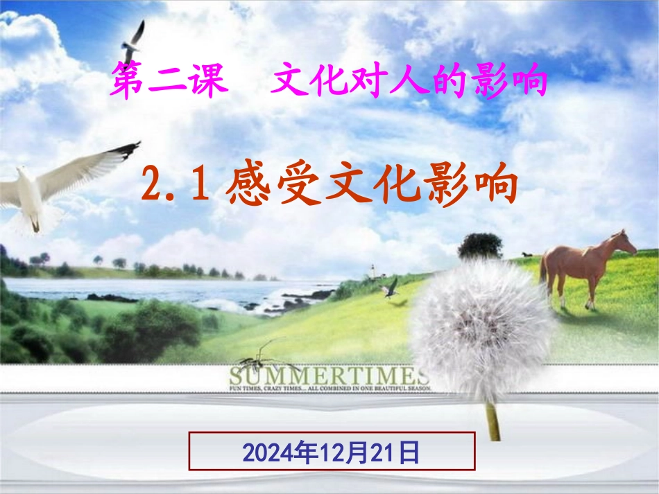 感受文化影响_第1页