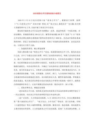 2024政务公开日宣传活动小结范文 