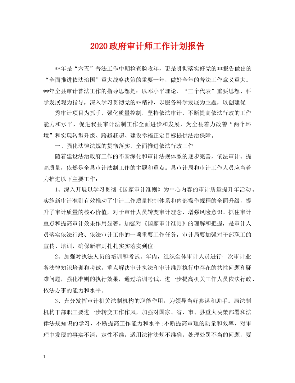 2024政府审计师工作计划报告 _第1页